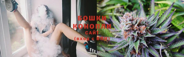 СК Горняк